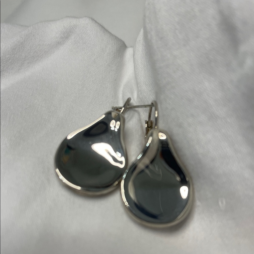 Elegant Silver Teardrop Earrings